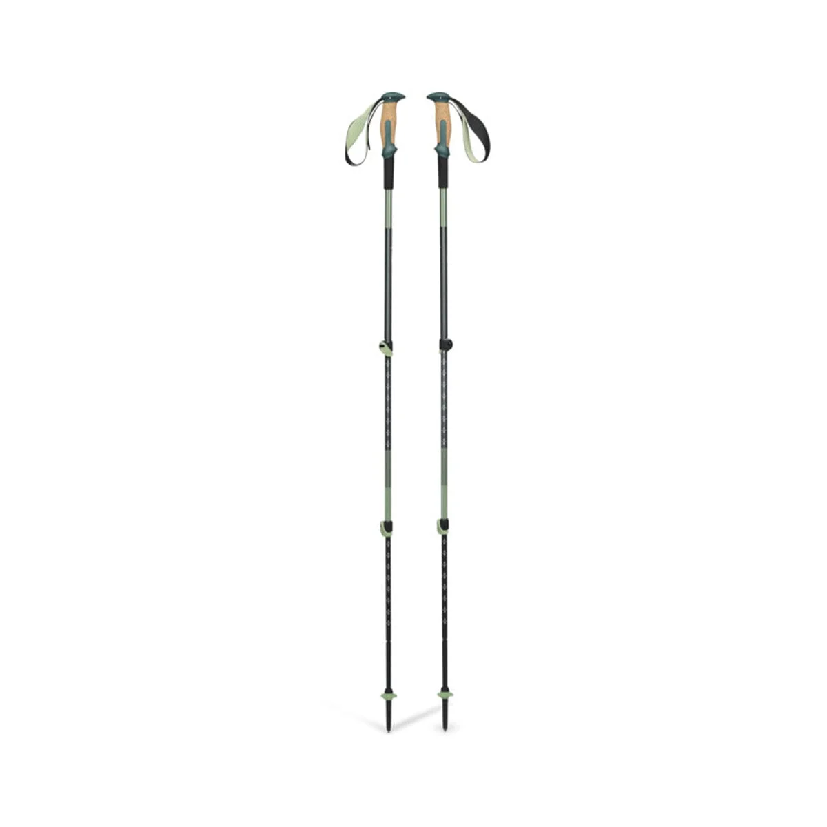 Black Diamond Trail Vista Shock Trekking Poles