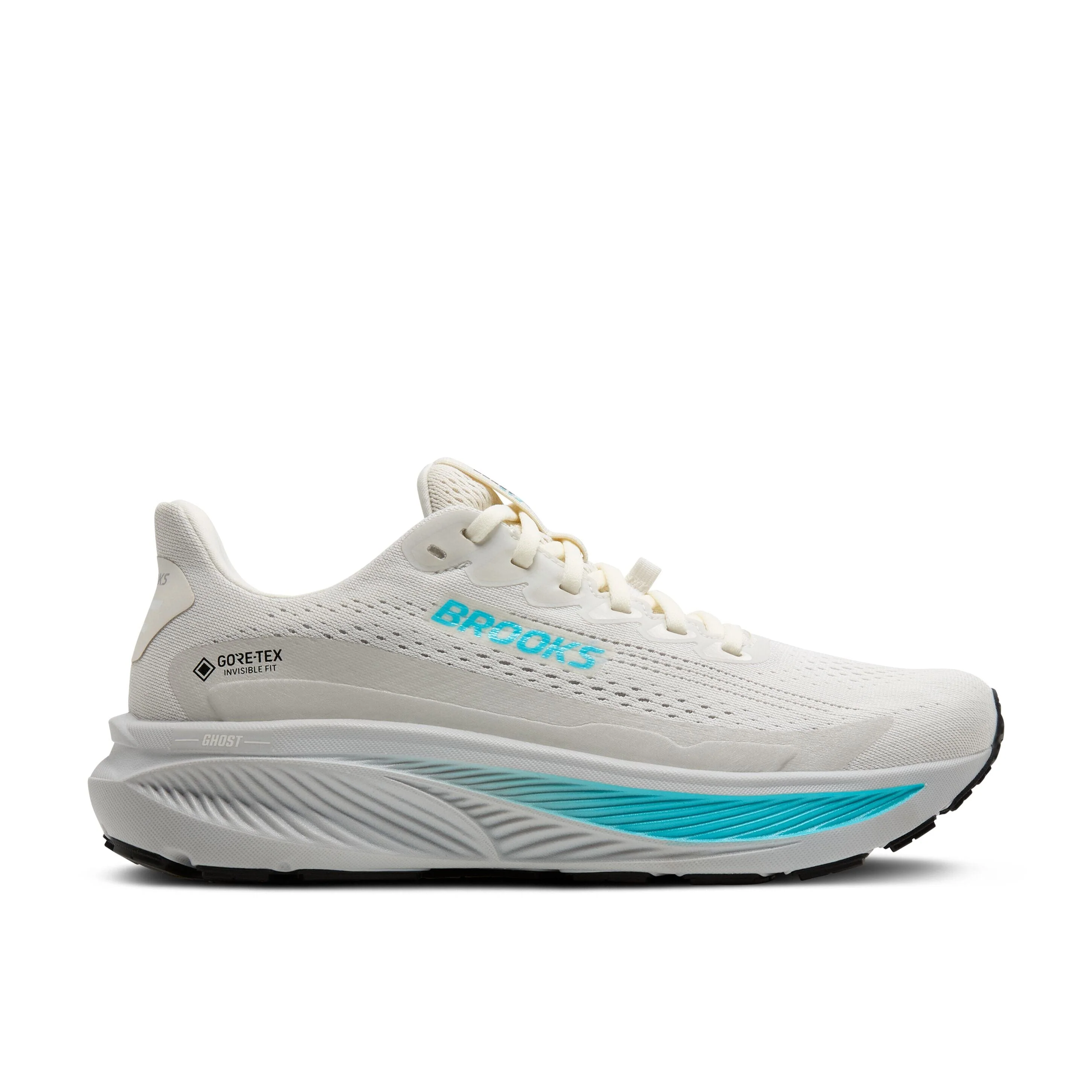 Brooks Ghost 17 GTX Women's Road Running Shoes