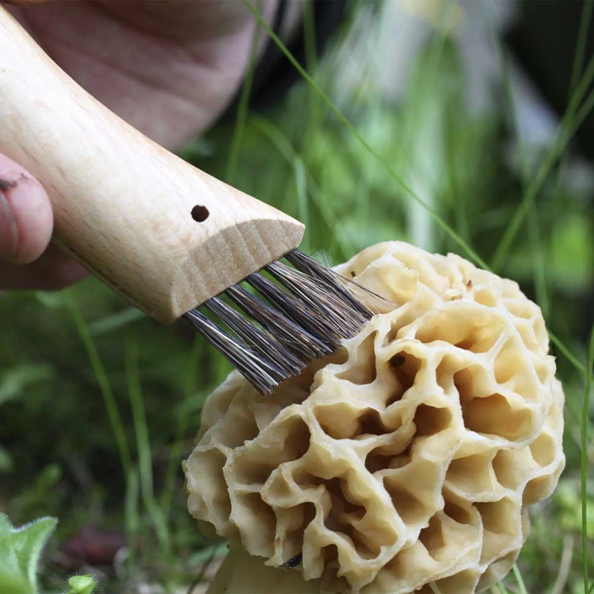 Opinel Pocket Knife N°08 Mushroom - Image 6