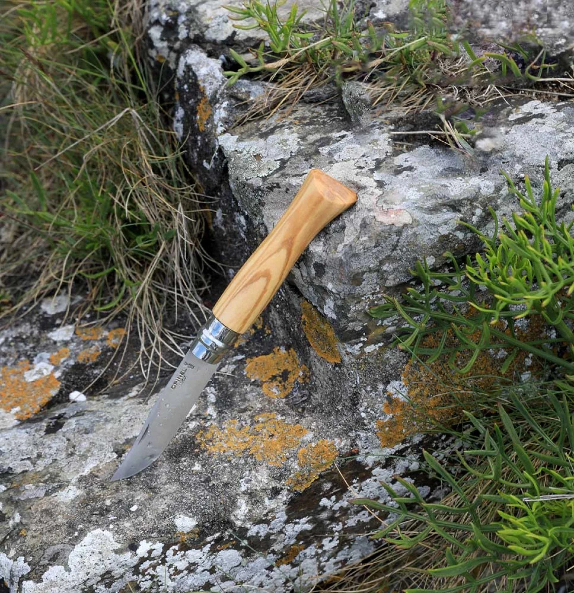 Opinel Pocket Knife N°09 Olive Wood - Image 4