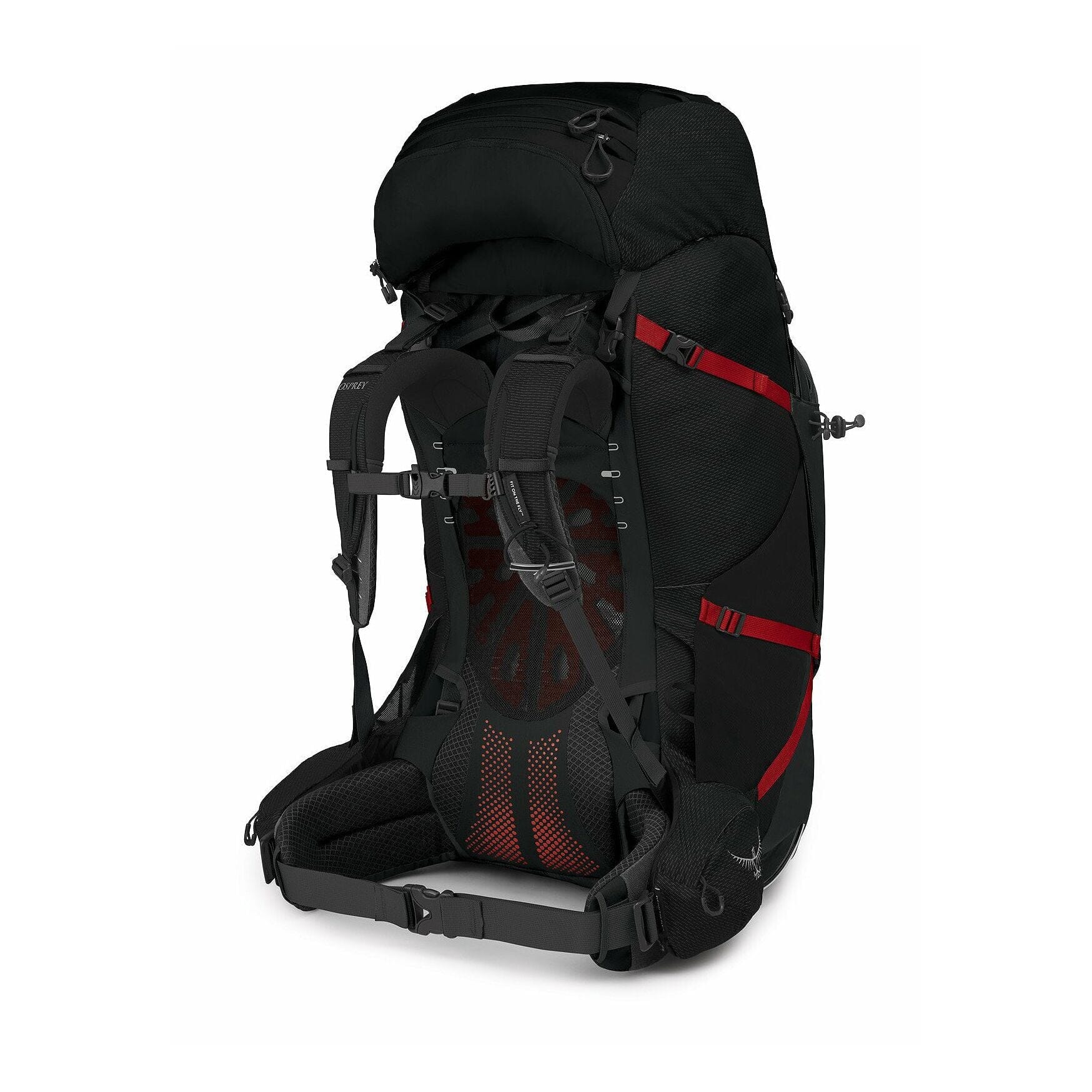 Osprey Aether Plus 100 Men's Backpack - Image 5