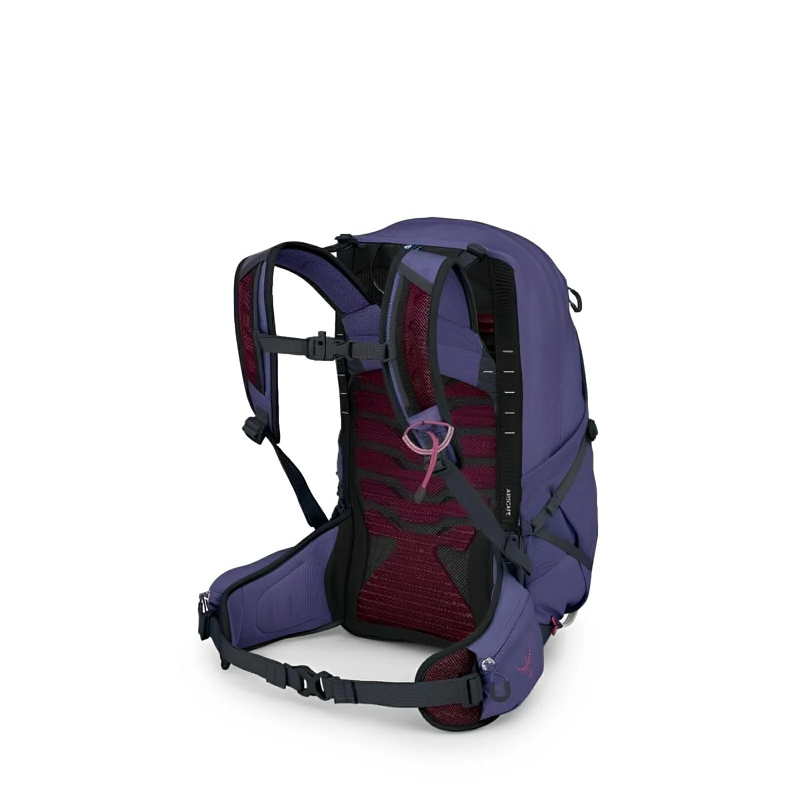 Osprey Tempest 22 Women's Hiking | Multisport Backpack 2025 - Image 2