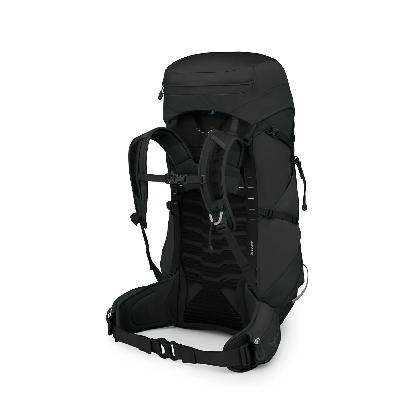 Osprey Tempest 44 Women's Hiking | Multisport Backpack 2025 - Image 3