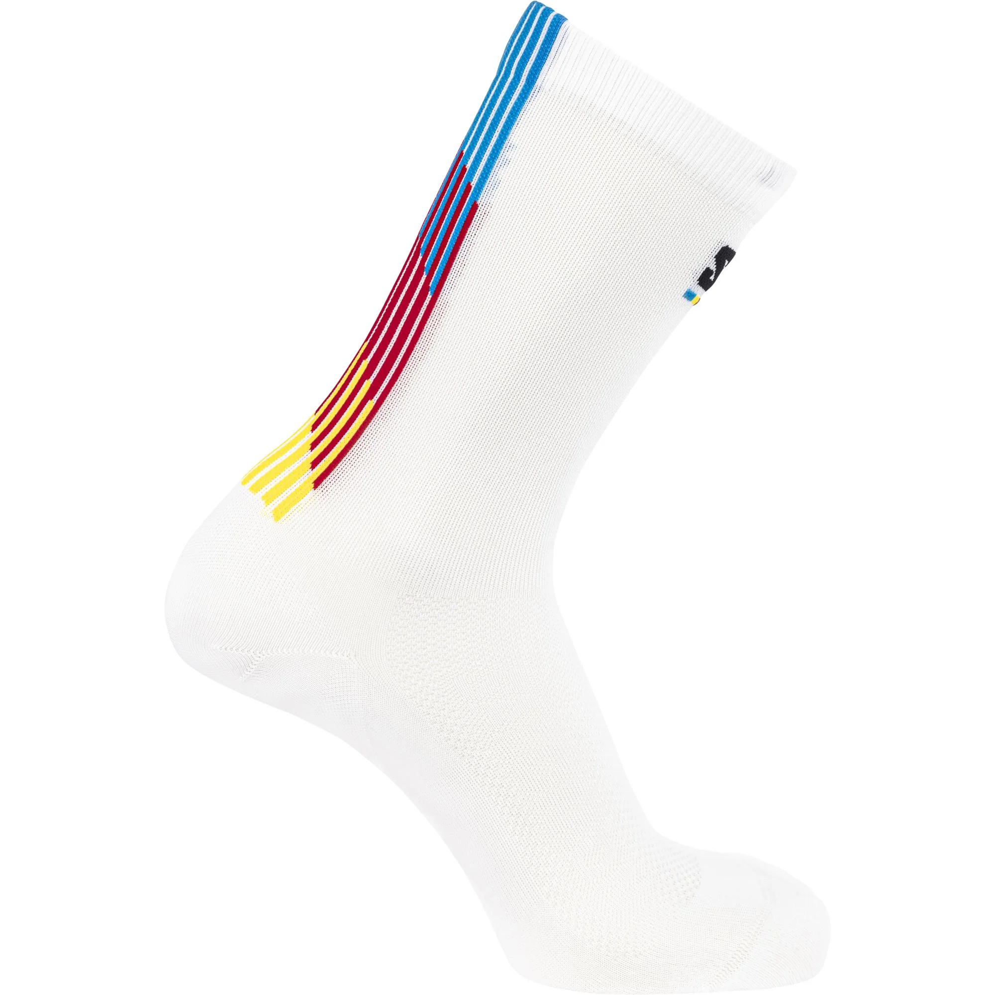 Salomon Pulse Race Flag Crew Unisex Socks